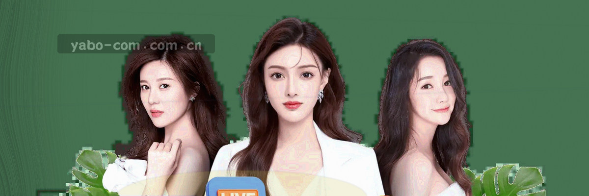 示意积分榜折线图与柱状图的数据仪表盘